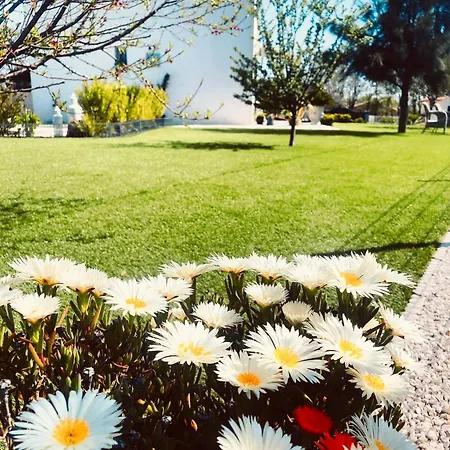 Maolo 2 Bed & Breakfast Roquebrune-sur Argens